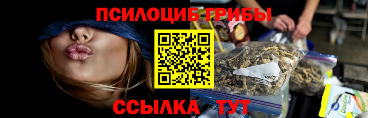 Галлюциногенные грибы Psilocybe  Псилоцибиновые грибы мухоморы  Рославль  Вход с VPN 
